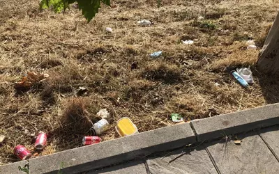 La Marazuela: vertedero de latas, botellas, basura