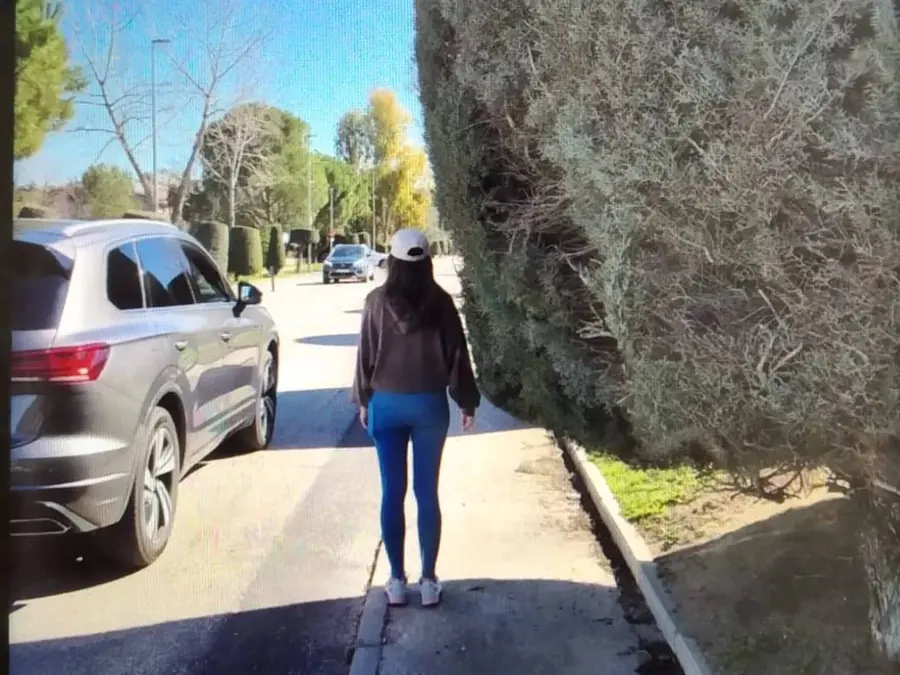 Los árboles invaden la acera