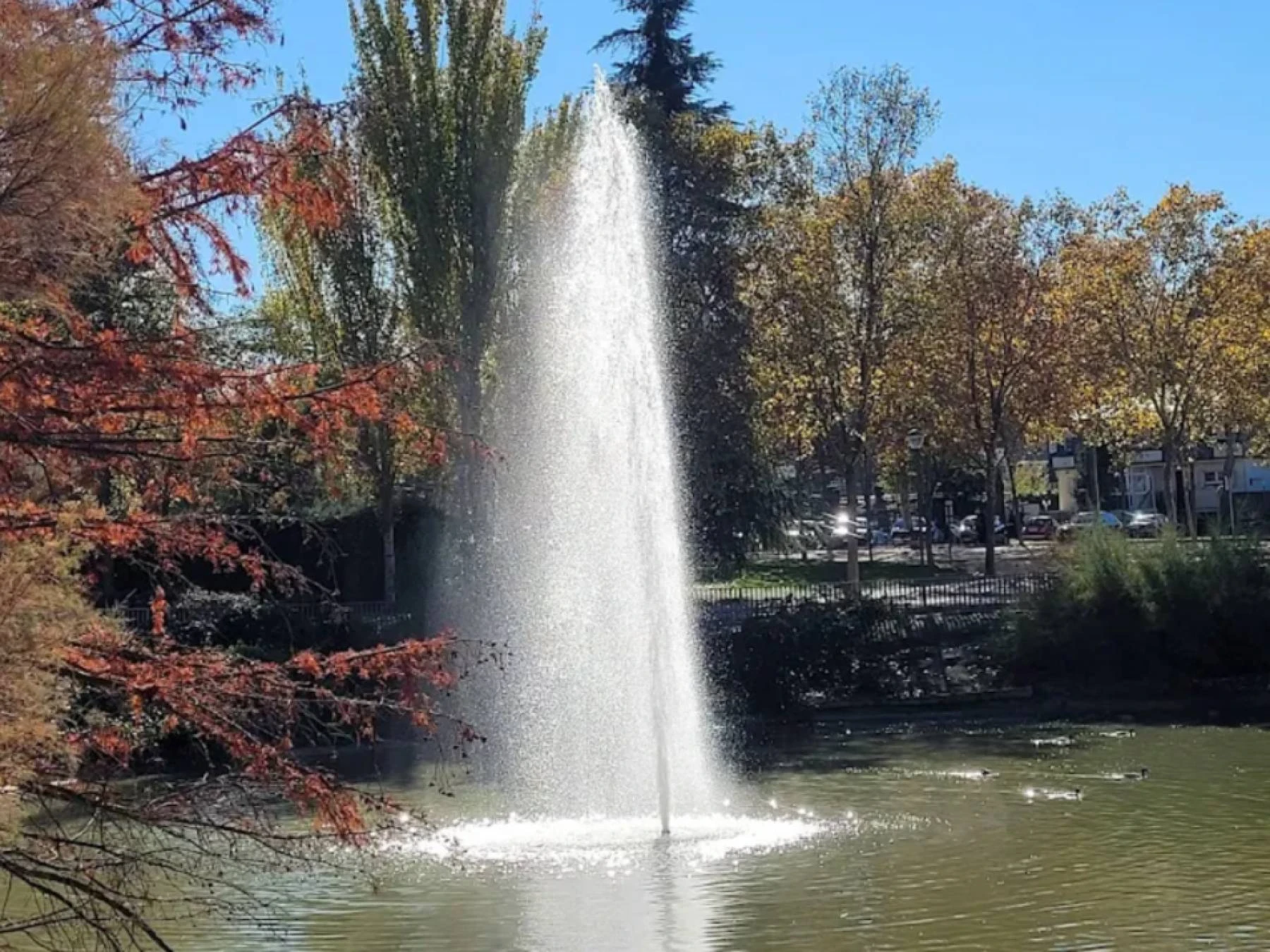 ESTADO DEPLORABLE DEL PARQUE PARÍS