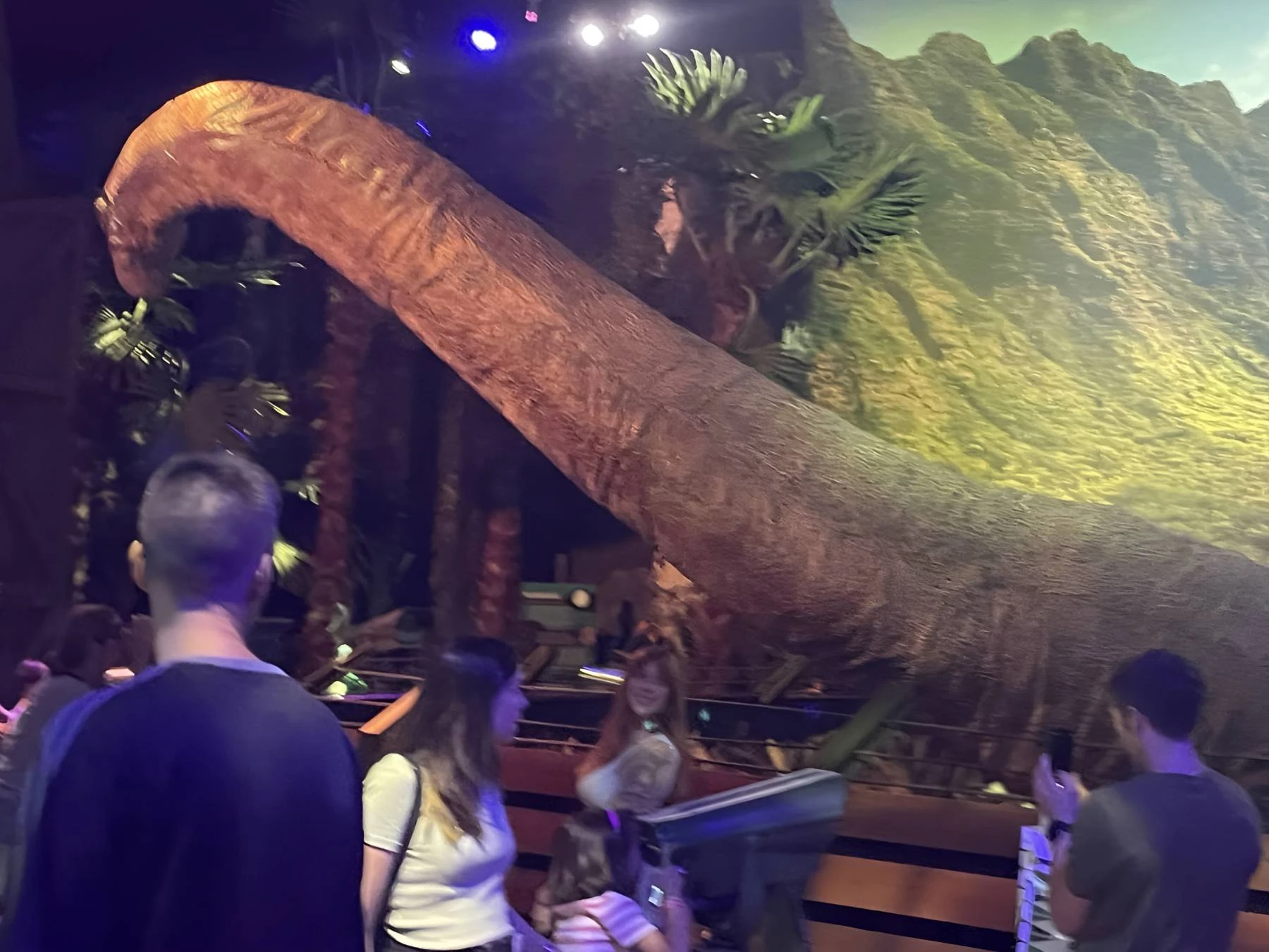 Amistad y actividades 