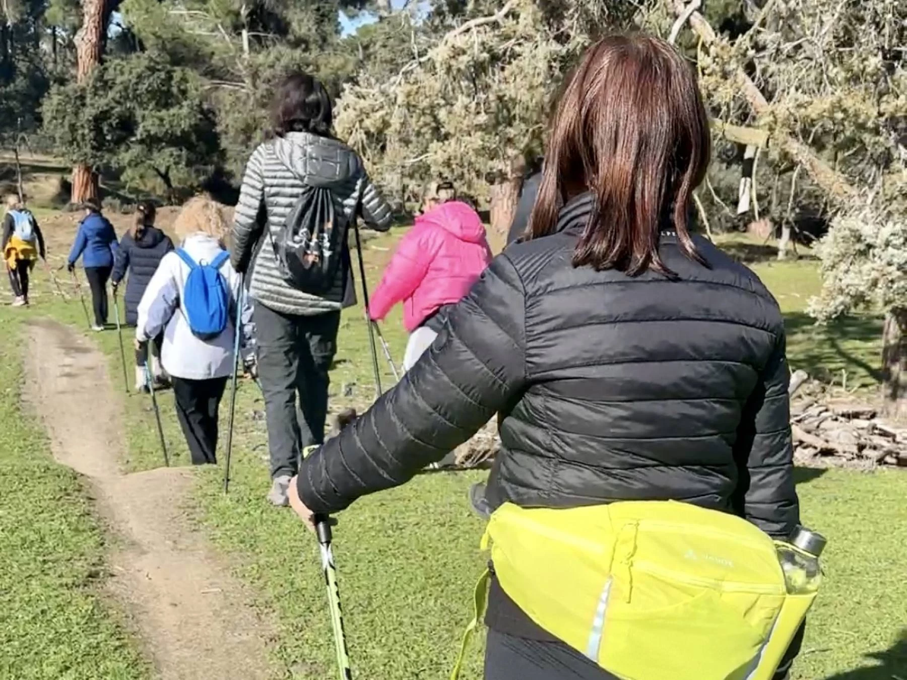 Clase gratuita de Marcha Nórdica en Majadahonda o Las Rozas