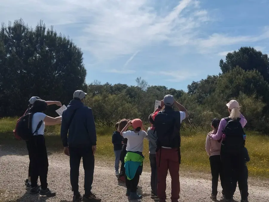 Ruta Interpretativa por el Monte de Boadilla 