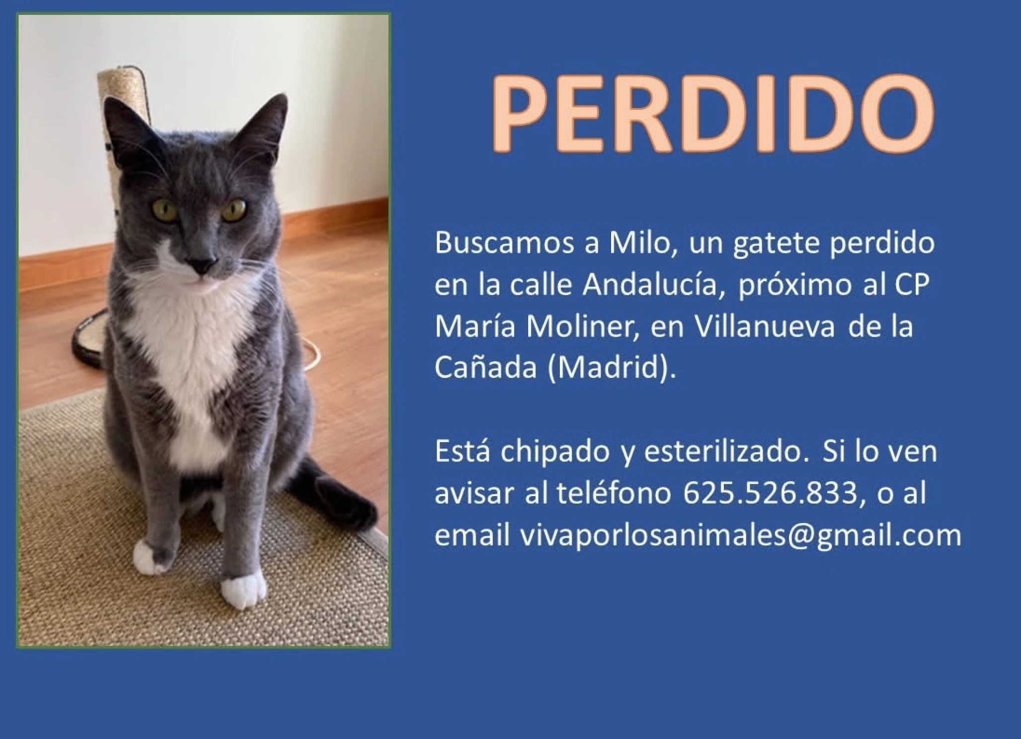 Personal para office y limpieza