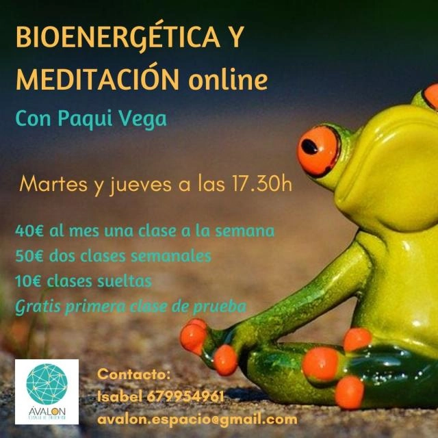 Sesiones de Bioenergética y Meditación ONLINE